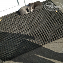 фото из отзыва ID 2057335