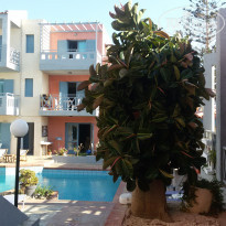 фото из отзыва ID 2057390