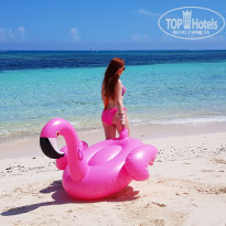 фото из отзыва ID 2057444