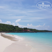 фото из отзыва ID 2057444