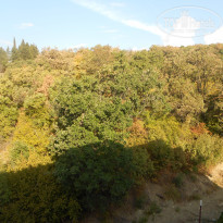 фото из отзыва ID 2057535