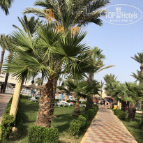 фото из отзыва ID 2057543