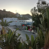 фото из отзыва ID 2057560