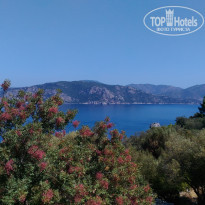 фото из отзыва ID 2057584