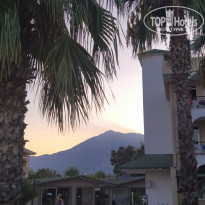 фото из отзыва ID 2057593