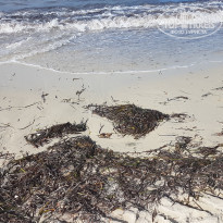 фото из отзыва ID 2057580