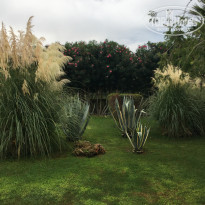 фото из отзыва ID 2057719