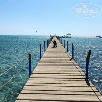 фото из отзыва ID 2057364