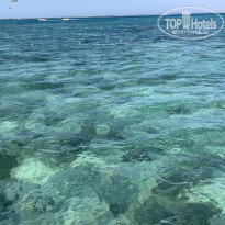 фото из отзыва ID 2057364