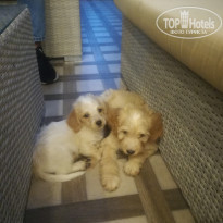 фото из отзыва ID 2057715