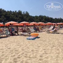 фото из отзыва ID 2057745