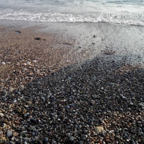 фото из отзыва ID 2057762