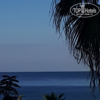 фото из отзыва ID 2057840