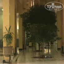 фото из отзыва ID 2057725