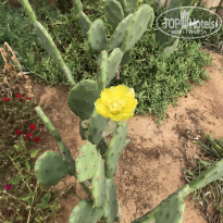 фото из отзыва ID 2057725