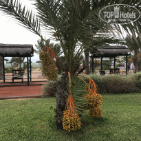 фото из отзыва ID 2057725