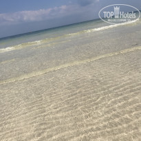 фото из отзыва ID 2057725