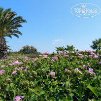 фото из отзыва ID 2057912