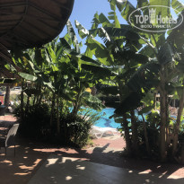 фото из отзыва ID 2057997