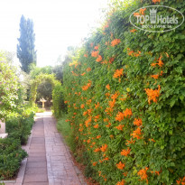 фото из отзыва ID 2058068