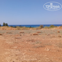 фото из отзыва ID 2058068