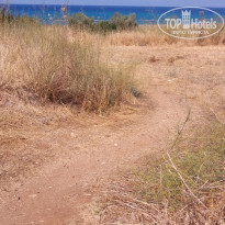 фото из отзыва ID 2058068