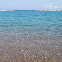 фото из отзыва ID 2058068