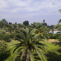 фото из отзыва ID 2058079