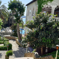 фото из отзыва ID 2058115