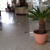 фото из отзыва ID 2058122