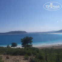 фото из отзыва ID 2058128