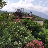 фото из отзыва ID 2058137