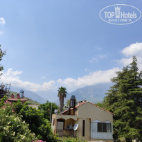 фото из отзыва ID 2058137