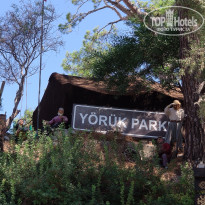 фото из отзыва ID 2058137