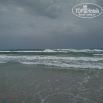 фото из отзыва ID 2058192