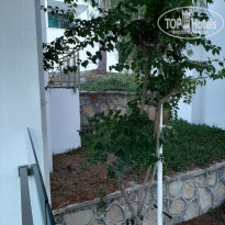 фото из отзыва ID 2057382