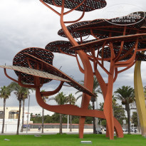 фото из отзыва ID 2058205