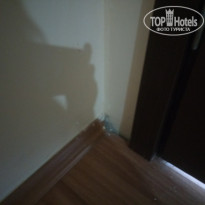 фото из отзыва ID 2058224