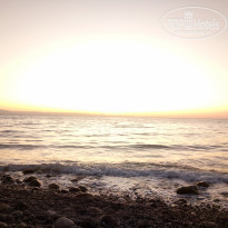 фото из отзыва ID 2058224