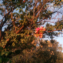 фото из отзыва ID 2058224