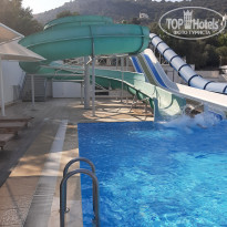 фото из отзыва ID 2057382