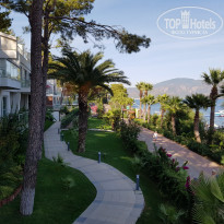 фото из отзыва ID 2058294