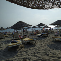 фото из отзыва ID 2058266