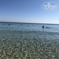 фото из отзыва ID 2058329