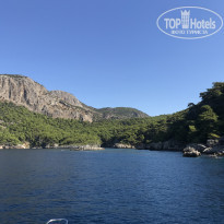 фото из отзыва ID 2058365