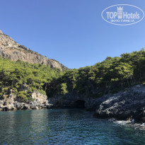 фото из отзыва ID 2058365