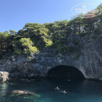 фото из отзыва ID 2058365