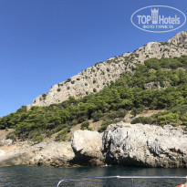 фото из отзыва ID 2058365