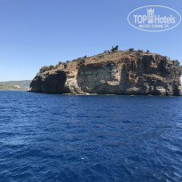 фото из отзыва ID 2058365