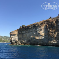 фото из отзыва ID 2058365